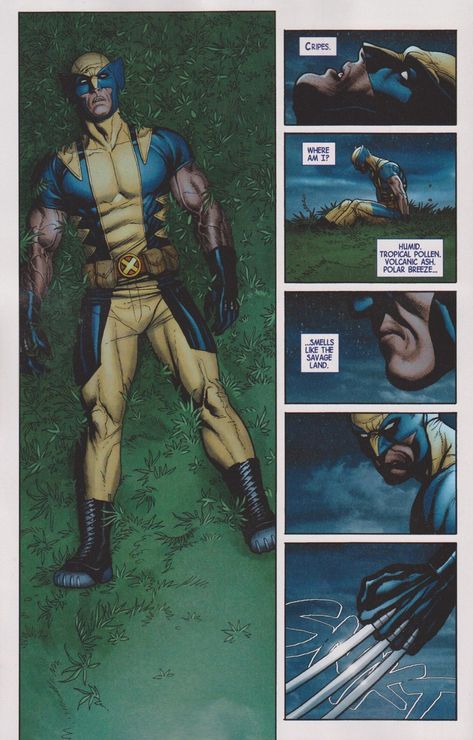 Savage Wolverine, Frank Cho Art, Wolverine Icon, Marvel Heroes Comics, Wolverine Comic Art, Richard Corben, Wolverine Comic, Frank Cho, Wolverine Art