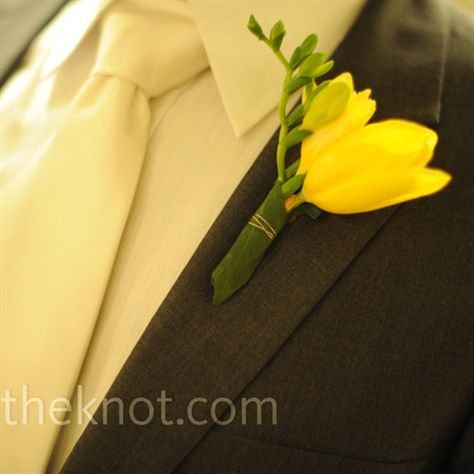 Freesia Boutonniere Freesia Boutonniere, Tulip Boutonniere, Yellow Boutonniere, Yellow Freesia, Yellow Wedding Flowers, Diana Wedding, Wedding Of The Year, Bridal Guide, White Wedding Flowers