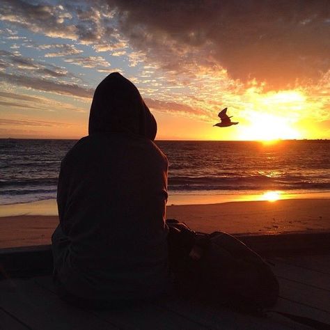 Back view of person sitting on the beach & watching the sunset Person Sketch, Beach Drawing, Beach Watch, Social Media Website, What If You Fly, Dp Photos, Watching The Sunset, Person Sitting, My Darling