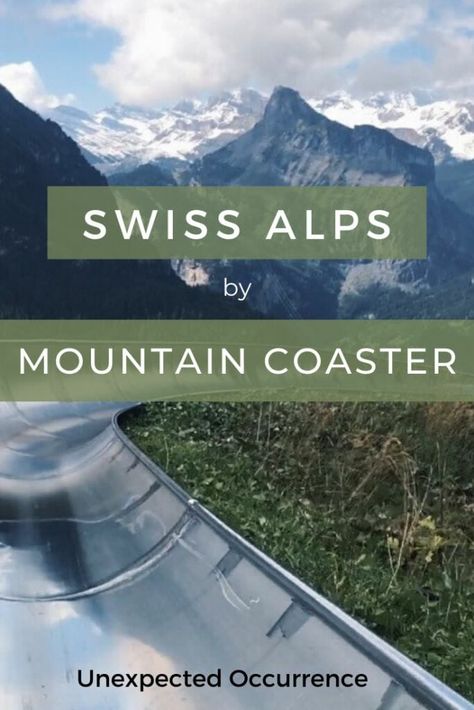 Alpine Coaster Switzerland, Mountain Coaster Switzerland, Kandersteg Switzerland, Swiss Alps Hiking, Alps Hiking, Mountain Coaster, Munich Travel, Switzerland Mountains, Switzerland Vacation