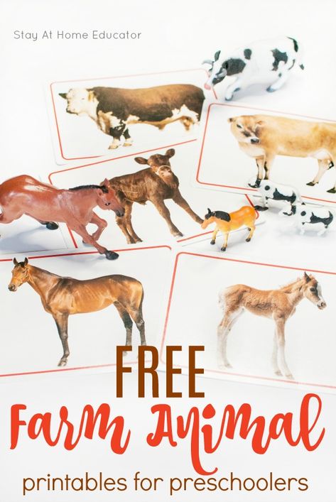 Teach language skills with free farm animal printables Farm Animal Language Activities Preschool, Farm Animal Printables, Printable Animal Pictures, Preschool Farm Theme, Farm Activities Preschool, Farm Animals Pictures, Preschool Farm, Farm Animals Preschool, Farm Animals Activities