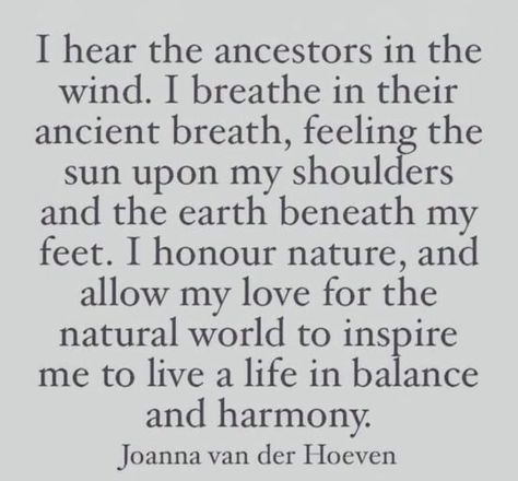 Ancestors Quotes, Spirit Guides Meditation, Universe Quotes Spirituality, Earth Quotes, Divine Feminine Spirituality, Universe Quotes, Wisdom Books, Wonderful Words, Spiritual Healing