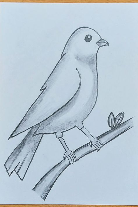 Different Birds Drawing, Drawing A Bird Easy, Sketch Animals Easy, Pencil Shading Birds, Sketch Of Bird, Birds Sketches Pencil Easy, Basic Animal Drawings, Easy Drawings Birds, Cute Easy Animal Drawings Step By Step