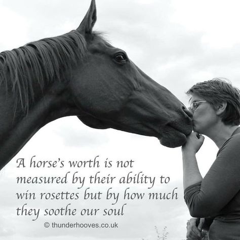 Funny Twilight Quotes, Horse Quotes Meaningful, Quotes About Horses, Horse Love Quotes, Inspirational Horse Quotes, Horse Riding Quotes, Equestrian Quotes, Cowboy Quotes, Country Girl Life