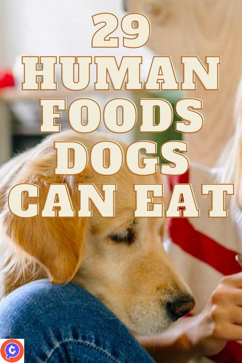 Dogs have a cartoonish obsession with food. Even if you drop, say, a boring stick of celery, most dogs will skitter across the floor, racing to inhale the flavorless, fibrous treat. But some human foods are harmful to dogs, sending them to the vet’s office — or worse. To keep the (potentially fatal) guesswork out of the occasional human treat, we consulted expert sources to identify 29 common human foods dogs can eat. What Can Dogs Eat And Not Eat, Human Foods Dogs Can Eat, Food Dogs Can Eat, Dog Eating Food, Human Food For Dogs, Foods Dogs Can Eat, Human Food, People Food, Dog Hacks