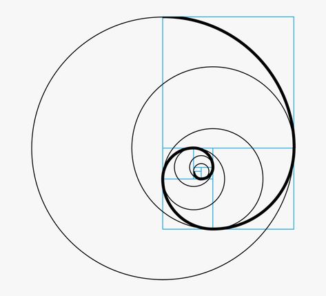 Fibonacci Circle, Fibonacci Tattoo, Sacred Tattoo, Circle Png, Circle Tattoos, Golden Spiral, Fibonacci Sequence, Circle Logo Design, Fibonacci Spiral