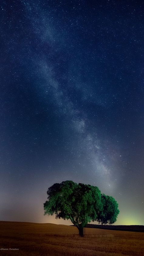 Tree, starry sky, field, night, grass Hd Wallpaper 1080x1920, Field Wallpaper, Grass Wallpaper, Programming Tutorial, Night Sky Wallpaper, Python Programming, Full Hd Wallpaper, Ocean Wallpaper, Beautiful Landscape Wallpaper