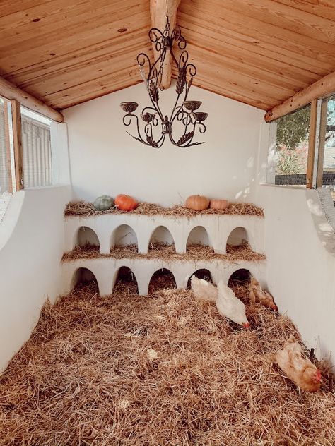 Kleiner Pool Design, Casa Hobbit, Backyard Chicken Coop Plans, Coop Plans, Chicken Coop Plans, Backyard Chicken Coops, Cob House, التصميم الخارجي للمنزل, Backyard Farming