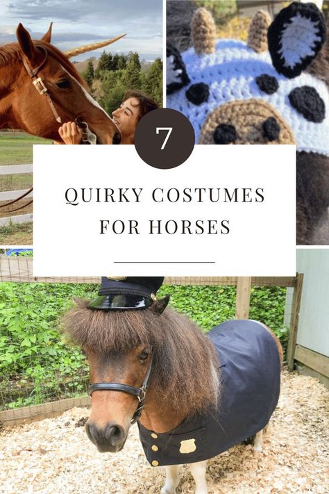 Get ready to turn heads and spread smiles with our top 7 quirky costumes for horses! From adorable unicorns to playful cow hats, these outfits not only bring joy but will also make your horse the star of every event. Embrace the fun and creativity; let’s make some unforgettable memories together! 🐴✨ Costumes For Horses, Cow Hat, Horse Costumes, Unforgettable Memories, The Star, Cow, Make Your, Horses, Bring It On