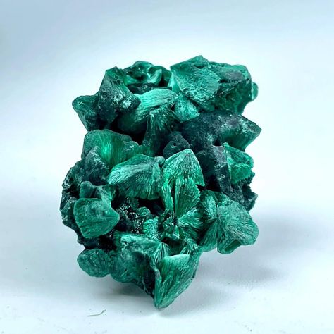 💎 Add a touch of natural beauty to your collection with this 100g Natural Velvet Malachite Raw Specimen! 🌿 Perfect for crystal enthusiasts and mineral collectors, this stunning malachite cluster boasts rich, vibrant patterns and soothing energy. Known for its protective and transformative properties, malachite is a must-have for any healing stone collection. ✨ Ready to enhance your crystal collection? Check it out here! 🌟 👉 https://parkercreativeconcepts.com/product/1pc-100gram-natural-velv... Holiday Pajamas Women, Velvet Malachite, Stocking Stuffers For Her, Holiday Essentials, Crystals In The Home, Mineral Collection, Raw Beauty, Pet Holiday, Stone Collection