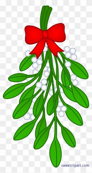 Mistletoe Tattoo, Mistletoe Images, Mistletoe Printable, Mistletoe Craft, Mistletoe Clipart, Mistletoe Plant, Easy Christmas Drawings, Christmas Drawings, Transparent Clipart