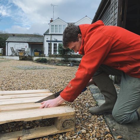 Making greenhouse staging from pallets – Lori Laing Greenhouse Staging Diy, Diy Greenhouse Shelves, Pallet Greenhouse, Greenhouse Staging, Greenhouse Shelves, Pallet Potting Bench, Cold Frame Diy, Greenhouse Vegetables, Potting Benches