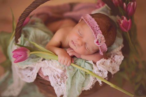 Spring Baby Photoshoot, Baby Girl Photoshooting Spring, Baby Tulip Pictures, Newborn Photoshoot With Flowers, Newborn Photoshoot Flowers, Newborn Tulip Pictures, Butterfly Themed Newborn Photoshoot, Baby Sparrow, Newborn Family Pictures