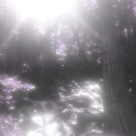 Dark Forest, Cyberpunk, Forest, Sun, Water, White, Design