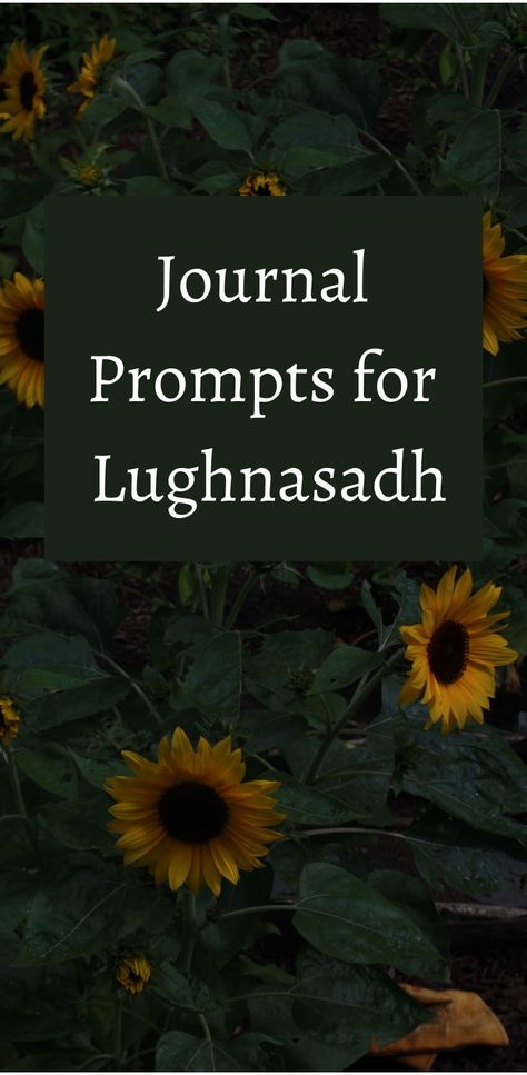 Lughnasadh journal prompts to reflect on summer's abundance Waldorf Crafts, Wheat Design, Wheat Fields, Harvest Festival, Seasonal Celebration, Summer Solstice, Book Of Shadows, Journal Prompts, Summer Camp