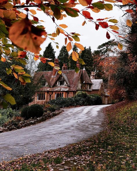 Home / X Castle Style House, Christmas In London, Legends Of The Fall, Lily Garden, Autumn Rain, Bristol Uk, Thatched Cottage, London Christmas, Quaint Village