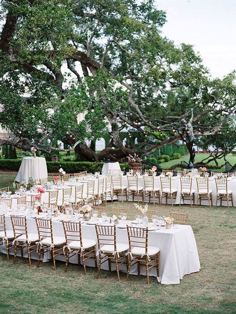 Backyard Wedding Reception Ideas, Wedding Table Layouts, Backyard Wedding Reception, Wedding Reception Layout, Reception Layout, Backyard Wedding Ceremony, Wedding Backyard Reception, Backyard Reception, Wedding Backyard