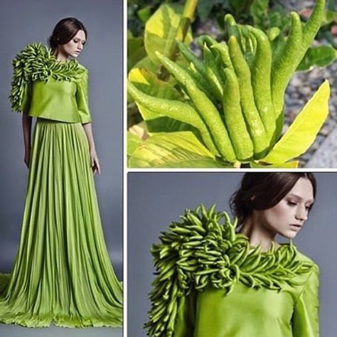 Theme Based Garment For Portfolio, Portfolio Garment Themes, Flower Costumes, Fashion Design Inspiration Board, Mood Board Fashion Inspiration, Fashion Study, Rhythm Art, Fashion Show Themes, Portfolio Theme