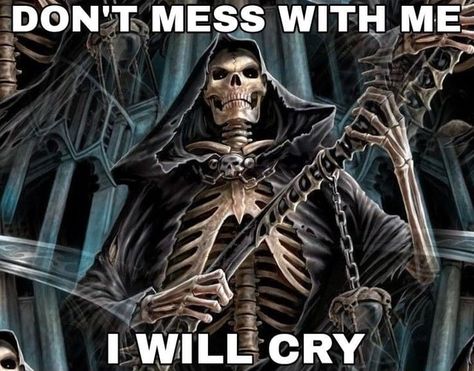 Lup Singuratic, Dont Mess With Me, Funny Skeleton, Silly Images, 웃긴 사진, Silly Me, Really Funny Pictures, Lose My Mind, What’s Going On