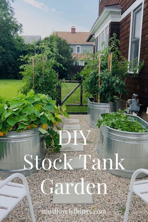 Growing Herbs in a Stock Tank Garden that's in full sun has so many advantages. It's easy to care for them and harvest them and since stock tanks are 2' high, the bunnies can't get to them. Stock Tank Garden Raised Beds, Stock Tank Garden, Stock Tank Gardening, Galvanized Containers, Galvanized Stock Tank, Diy Stock Tank, Garden Bed Layout, Raised Flower Beds, Raised Garden Beds Diy