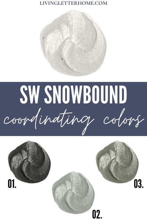 Dorian Gray Coordinating Colors, Snowbound Coordinating Colors, Benjamin Moore Boothbay Gray, Gray Coordinating Colors, Benjamin Moore Coventry Gray, Boothbay Gray, Dark Gray Paint Colors, Benjamin Moore Edgecomb Gray, Sherwin Williams Snowbound