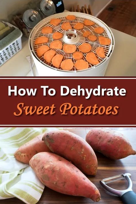 How To Dehydrate Sweet Potatoes, Dry Canning Sweet Potatoes, Dried Sweet Potatoes, Preserve Sweet Potatoes, Sweet Potato Chips Dehydrator, Dehydrate Grapes, Dehydrating Sweet Potatoes, Dehydrate Sweet Potatoes, Dehydrating Pumpkin