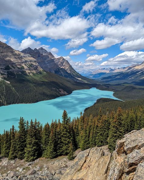 🤩 Peyto Lake is a must-see on the Icefields Parkway! While you could hike just 600 metres to the lower viewpoint, we recommend going a bit further to the upper viewpoint to escape the crowds. 🧭 Comment PEYTO LAKE for directions and info about the lake's namesake! 👇 #peytolake #banffnationalpark #mybanff Peyto Lake, Icefields Parkway, Banff National Park, July 7, Hiking, Lake, Quick Saves, Instagram