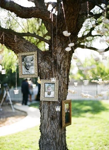 Family Tree Idea Memory Tree, Memorial Garden, Picture Hanging, Memorial Service, Hanging Pictures, Anniversary Parties, Wedding Bells, Country Wedding, Celebration Of Life