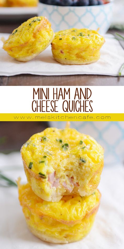 Muffin Tin Quiche Crustless, Ham And Cheese Mini Quiche, Crustless Mini Quiches In Muffin Tin, Mini Quiches In Muffin Tin Crustless, Mini Quiches In Muffin Tin, Mini Quiche Recipes, Ham And Cheese Quiche, Stem Challenge, Mini Quiches