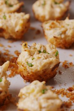 Baking Crab Cake Bites Video — Crab Cake Bites Recipe How To Video Crab Cake Bites, Crab Cake Recipes, Holiday Appetizers Recipes, Crab Cake, Cake Bites, Crab Recipes, Holiday Appetizers, Crab Cakes, Appetizers For Party