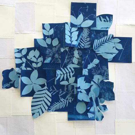 Mixed Media. Cyanotype process collage on stitched together cotton rag. Cyanotype Collage, Cyanotype Collage Mixed Media, Cyanotype Mixed Media Paintings, Mixed Media Cyanotype, Cynotype Images, Cyanotype Art, Cyanotype With Negatives, Large Cyanotype, Blue Collage