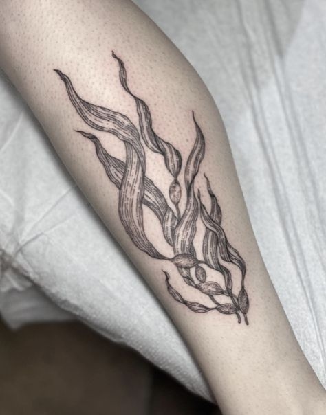 Earthbound Tattoo, Aquatic Tattoo, Hawaii Tattoos, Shell Tattoos, Ocean Tattoos, Plant Tattoo, Small Tattoos For Guys, Tattoo Art Drawings, Hip Tattoo