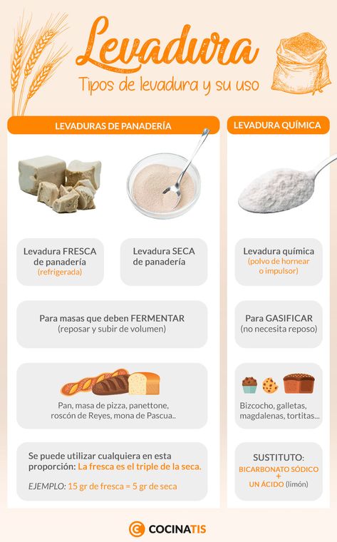 Levadura: tipos de levadura y para qué se utiliza cada una | Cocinatis Boxed Cake Mixes Recipes, Baking Measurements, Cooking Measurements, Food Info, Pan Dulce, Pan Bread, Cake Mix Recipes, Snack Cake, Baking Tips