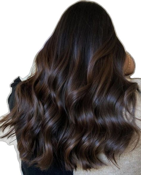 Brown Hair With Warm Highlights, Dark Chocolate Hair, Dark Chocolate Brown Hair, Brown Hair Color Shades, Warm Brown Hair, Natural Brown Hair, Warm Highlights, Cinnamon Hair, Black Hair Balayage