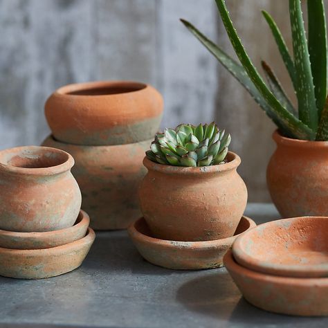 Terracotta Pots With Flowers, Terracotta Hanging Pots, Hacienda Furniture, Plant Parenthood, Textured Pottery, Pottery Decor, Ceramic Succulent Pots, Mexican Hacienda, Fire Pots