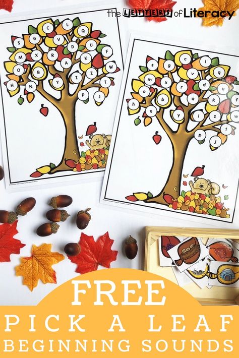 Fall Leaves Beginning Sounds Activity, perfect for pre-K and kindergarten, for use in a literacy center as an ABC pick and find activity. #beginningsounds #leaves #phonics #fall #kindergarten #prek #literacy #centers #literacycenters Kindergarten Small Groups, Fall Kindergarten Activities, Prek Literacy, Letter Sound Activities, Alphabet Activities Kindergarten, Fall Centers, Fall Preschool Activities, Fall Lessons, Alphabet Kindergarten