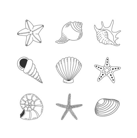 Shells and starfish outline set isolated on white background. Seashell vector illustration. Collection of clam mollusc linear icons. Ocean cockleshell. Starfish Outline, Starfish Tattoo, Shell Tattoos, Starfish, Tatting, Sea Shells, Line Art, White Background, Vector Free