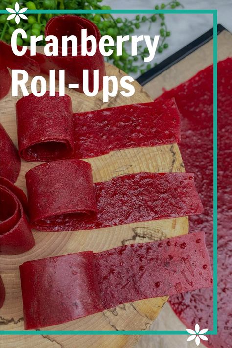 Strawberry Fruit Leather, Fruit Leather Recipe, Fruit Strips, Cranberry Orange Sauce, Canned Cranberries, Canned Cranberry Sauce, Leftover Cranberry Sauce, Cranberry Fruit, Cranberry Sauce Recipe