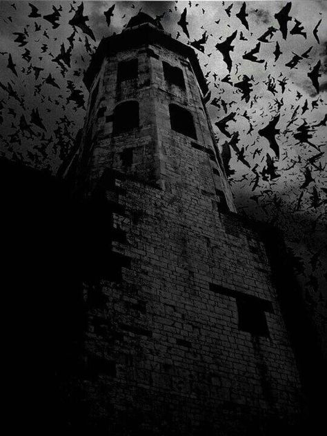 Bats in the Bell Tower Dark Castle, رعب نفسي, 다크 판타지, Gothic Aesthetic, Arte Obscura, Halloween Vintage, Dark Gothic, Dark Places, Dark Photography