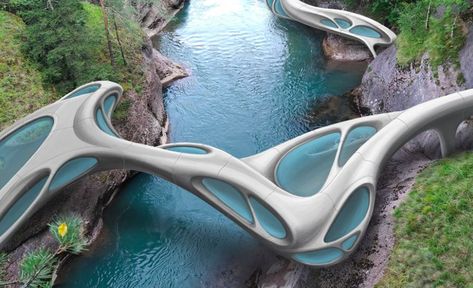 Bridge Pavilion, Organic Architecture Design, Sci Fi Architecture, Deconstructivism, Conceptual Architecture, Architecture Design Sketch, Modern Architects, Bridge Design, Organic Architecture