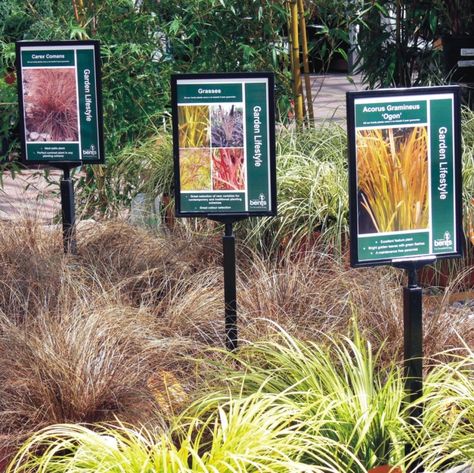 Garden Center Displays, Plant Display Ideas, Plant Store, Green Magic, Commercial Landscaping, Shop Front Signage, Retail Signs, Garden Nursery, Sign Holder