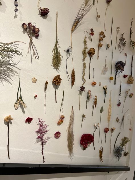 dried flowers wall aesthetic decorations Dead Flowers On Wall, Flower Wall Aesthetic, Dried Flowers Wall, Dead Flowers, Wall Aesthetic, Boquette Flowers, Room Stuff, Hanging Flower Wall, Flowers Wall