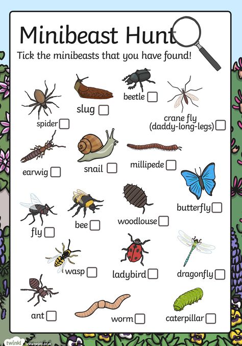 Going on a minibeast hunt? Don't go without this resource! Features some of the most common minibeasts with boxes for you to tick as you find them. Use the resource as it is for evidence that your children can take home with them, or try laminating the list for repeated use. Sign up to Twinkl to download this resource.   #minibeasts #minibeast #checklist #hunt #nature #naturewalk #insect #teach #teacher #parents #parenting #childminders #homeeducation #bugs #twinkl #twinklresources Minibeasts Activities, Camping Vbs, Nature Learning, Nature Club, Forest School Activities, Nature School, Scavenger Hunt For Kids, Outdoor Education, Outdoor Classroom