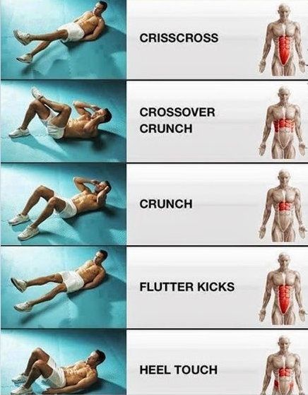 Rectus Abdominis muscle - Pain, Exercises, function, workouts, action Full Ab Workout, Rectus Abdominis Muscle, Rectus Abdominis, Workout Man, Power Workout, Sixpack Workout, Reverse Crunches, Flutter Kicks, Lower Abs