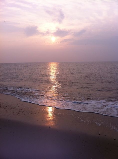 Hazy sunset at Snettisham beach Hazy Sunset, Forest Gump, Sea Shore, Chocolate Box, Beautiful Scenery, Norfolk, Happy Places, Chocolates, Road Trip