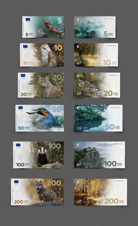 Euro Banknotes, Banknotes Design, Currency Design, Mughal Art Paintings, Money Notes, Canvas Learning, Eden Project, Money Design, Geometric Design Art