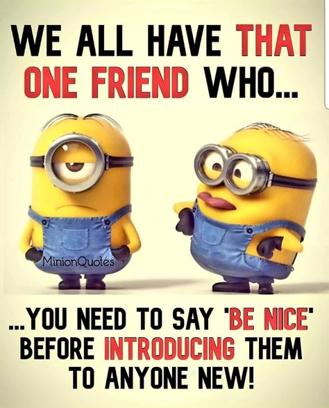 10 Funny Minion Quotes That Are Too Silly To Take Seriously Too Silly, Funny Mean Quotes, Minions Humor, Minions Funny Images, Funny Minion Pictures, Funny Minion Memes, Funny Day Quotes, Images With Quotes, Friend Jokes