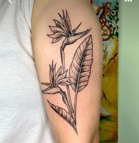 Free Spirit Tattoo, Bird Of Paradise Tattoo, Hawaii Tattoo, Tattoo 2022, Hawaii Tattoos, Tattoo 2024, Bird Of Paradise Flower, Paradise Tattoo, Spirit Tattoo