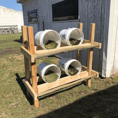 Looking for an alternative way to make nesting boxes? Have you ever considered 5-gallon buckets? If so, this blog is for you. Chicken Run Ideas Diy, Chicken Laying Boxes, Nesting Boxes Diy, Chicken Roost, Meat Birds, 5 Gallon Buckets, Raising Chicks, Chicken Tractors, Chicken Nesting Boxes