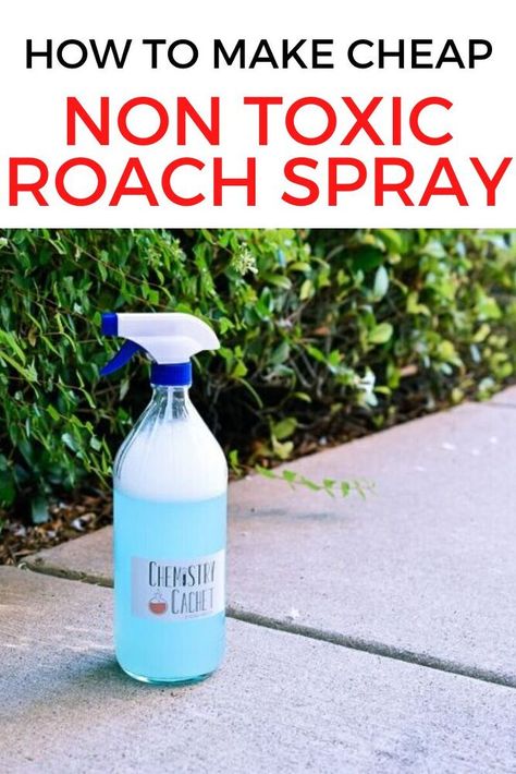 Kill Roaches Naturally, Roach Spray, Diy Bug Repellent, Homemade Bug Spray, Ant Spray, Get Rid Of Bed Bugs, Kill Roaches, Diy Bug Spray, Bug Spray Recipe